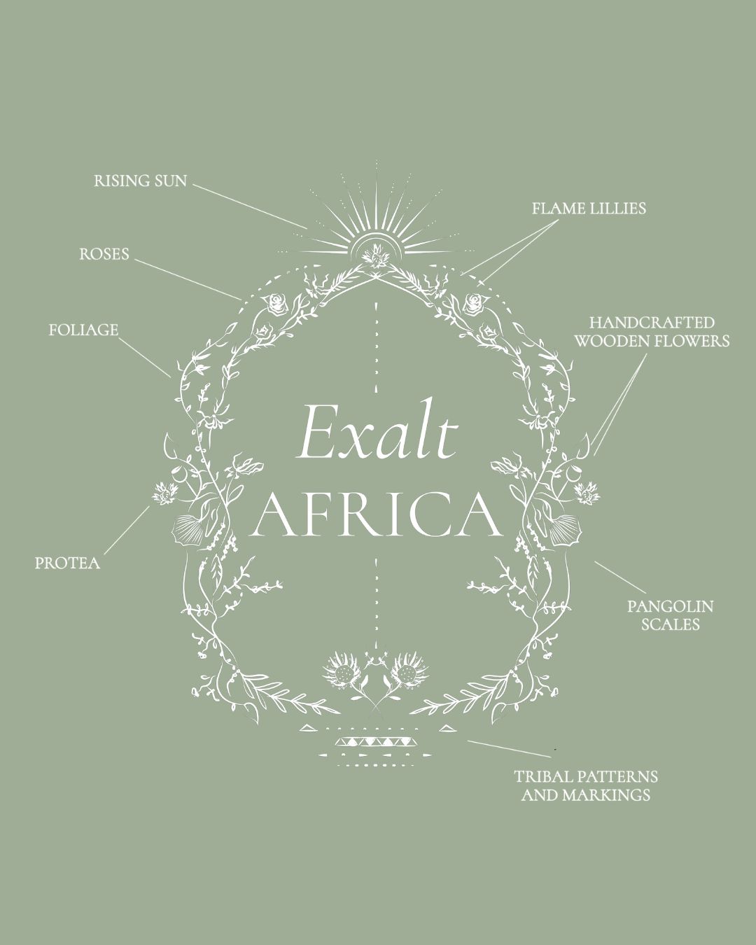 Branding for Exalt Africa, Photography by Stepan Vrzala